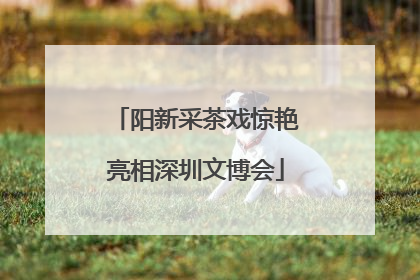 阳新采茶戏惊艳亮相深圳文博会