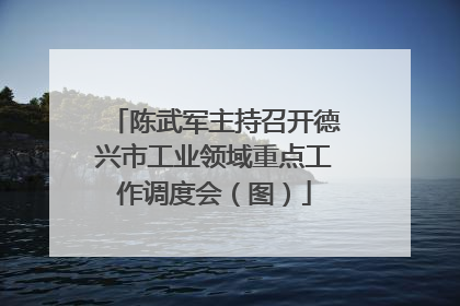 陈武军主持召开德兴市工业领域重点工作调度会（图）