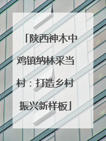 陕西神木中鸡镇纳林采当村：打造乡村振兴新样板