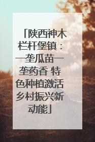 陕西神木栏杆堡镇：一垄瓜苗一垄药香 特色种植激活乡村振兴新动能