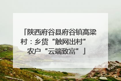 陕西府谷县府谷镇高梁村：乡货“触网出村” 农户“云端致富”
