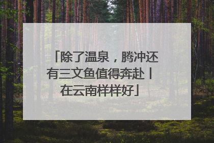 除了温泉，腾冲还有三文鱼值得奔赴丨在云南样样好