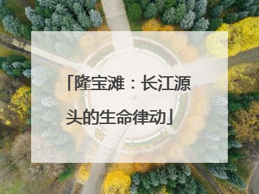 隆宝滩：长江源头的生命律动