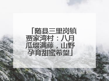 随县三里岗镇贾家湾村：八月瓜缀满藤，山野孕育甜蜜希望