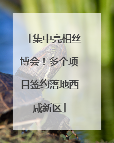 集中亮相丝博会！多个项目签约落地西咸新区