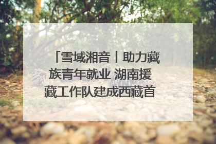 雪域湘音丨助力藏族青年就业 湖南援藏工作队建成西藏首个清洁能源装备园