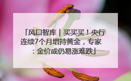 风口智库｜买买买！央行连续7个月增持黄金，专家：金价或仍易涨难跌