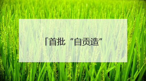 首批“自贡造”反无设备正式下线 产品已获四川省重大技术装备首台套认定