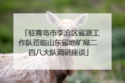 驻青岛市李沧区省派工作队莅临山东省地矿局二四八大队调研座谈