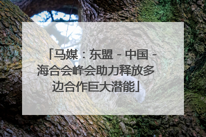 马媒：东盟－中国－海合会峰会助力释放多边合作巨大潜能