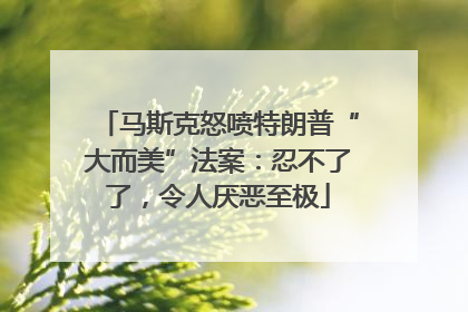马斯克怒喷特朗普“大而美”法案：忍不了了，令人厌恶至极