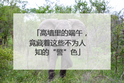 高墙里的端午，竟藏着这些不为人知的“警”色
