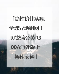 高性价比实现全球异地组网！贝锐蒲公英R300A海外版上架速卖通