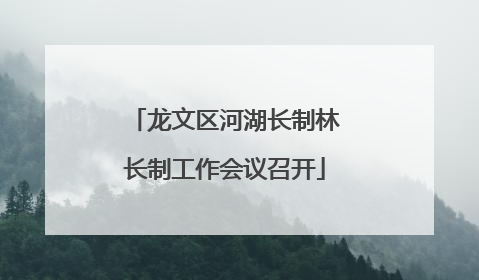 龙文区河湖长制林长制工作会议召开