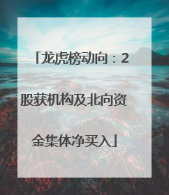 龙虎榜动向：2股获机构及北向资金集体净买入