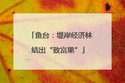鱼台：堤岸经济林结出“致富果”