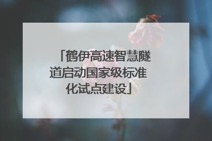 鹤伊高速智慧隧道启动国家级标准化试点建设