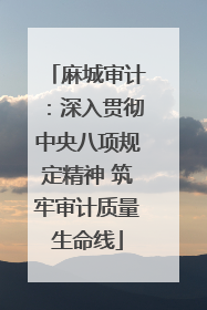 麻城审计：深入贯彻中央八项规定精神 筑牢审计质量生命线