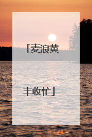 麦浪黄 丰收忙