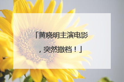黄晓明主演电影，突然撤档！