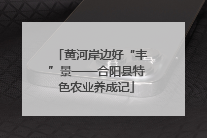 黄河岸边好“丰”景——合阳县特色农业养成记