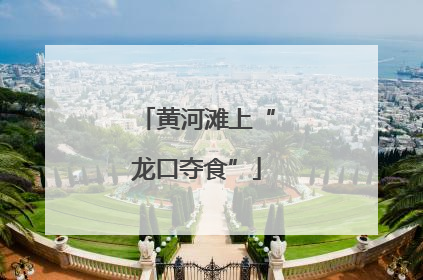 黄河滩上“龙口夺食”