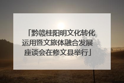 黔赣桂阳明文化转化运用暨文旅体融合发展座谈会在修文县举行