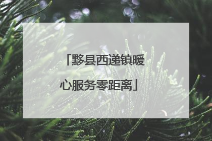 黟县西递镇暖心服务零距离