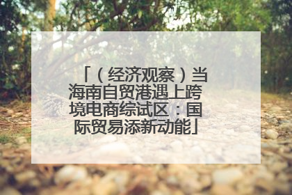 （经济观察）当海南自贸港遇上跨境电商综试区：国际贸易添新动能