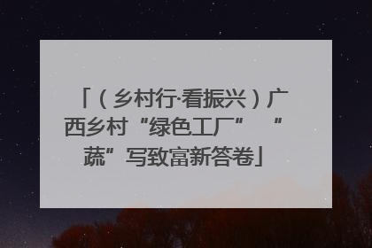 （乡村行·看振兴）广西乡村“绿色工厂” “蔬”写致富新答卷
