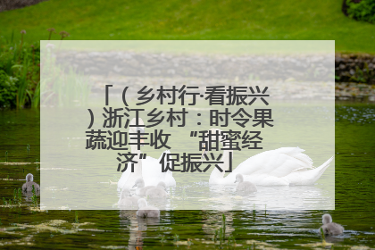（乡村行·看振兴）浙江乡村：时令果蔬迎丰收 “甜蜜经济”促振兴