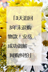 3天追回3年未退购物款！安岳成功调解一网购纠纷
