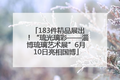 183件精品展出！“琉光璃彩——淄博琉璃艺术展”6月10日亮相国博