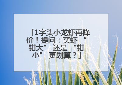1字头小龙虾再降价！提问：买虾 “钳大” 还是 “钳小” 更划算？