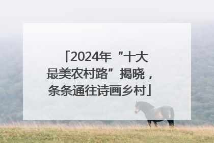 2024年“十大最美农村路”揭晓，条条通往诗画乡村