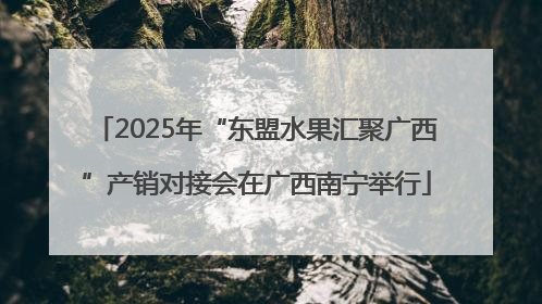 2025年“东盟水果汇聚广西”产销对接会在广西南宁举行