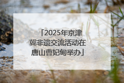 2025年京津冀非遗交流活动在唐山曹妃甸举办