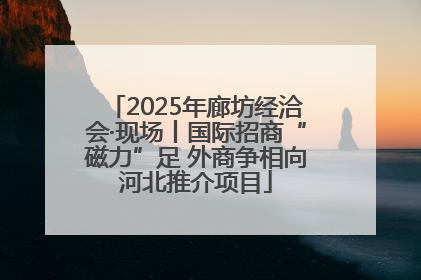 2025年廊坊经洽会·现场丨国际招商“磁力”足 外商争相向河北推介项目