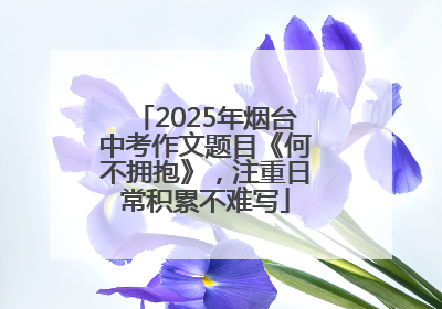 2025年烟台中考作文题目《何不拥抱》，注重日常积累不难写