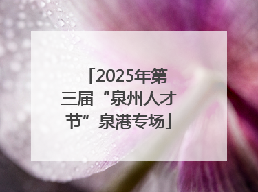 2025年第三届“泉州人才节”泉港专场