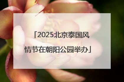 2025北京泰国风情节在朝阳公园举办