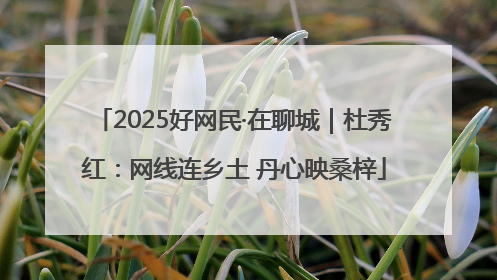 2025好网民·在聊城｜杜秀红：网线连乡土 丹心映桑梓