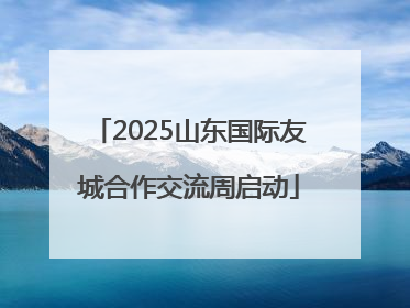 2025山东国际友城合作交流周启动