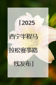 2025西宁半程马拉松赛事路线发布