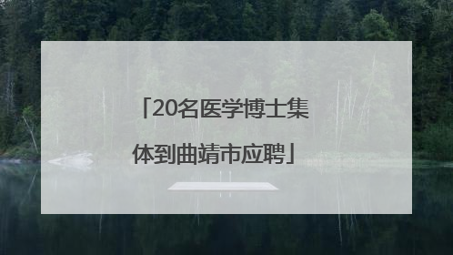 20名医学博士集体到曲靖市应聘