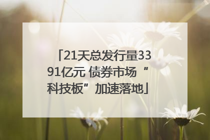 21天总发行量3391亿元 债券市场“科技板”加速落地