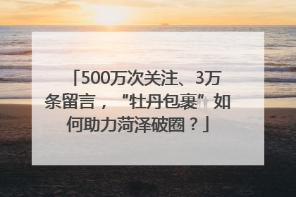 500万次关注、3万条留言，“牡丹包裹”如何助力菏泽破圈？