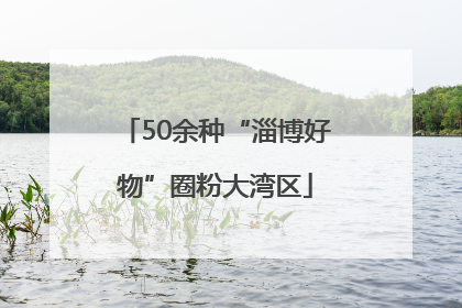 50余种“淄博好物”圈粉大湾区