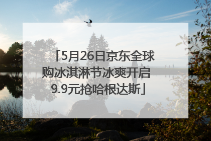5月26日京东全球购冰淇淋节冰爽开启 9.9元抢哈根达斯