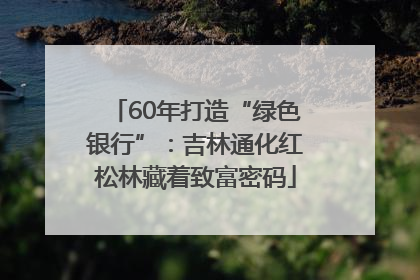 60年打造“绿色银行”：吉林通化红松林藏着致富密码